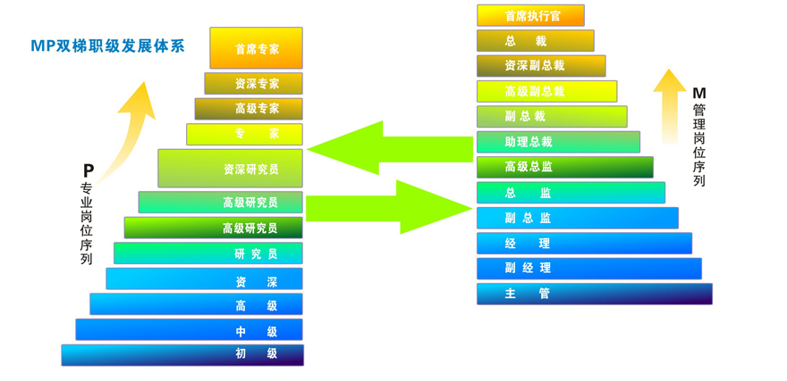 雙職級